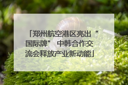 郑州航空港区亮出“国际牌” 中韩合作交流会释放产业新动能
