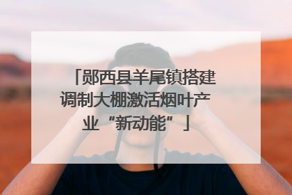 郧西县羊尾镇搭建调制大棚激活烟叶产业“新动能”
