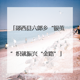 郧西县六郎乡“银茧”织就振兴“金路”