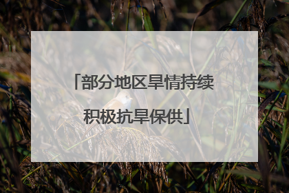 部分地区旱情持续 积极抗旱保供