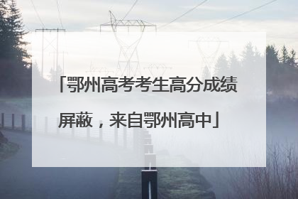 鄂州高考考生高分成绩屏蔽，来自鄂州高中