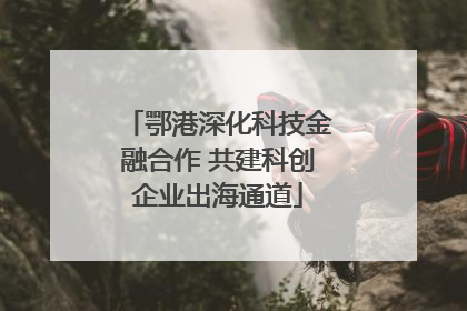 鄂港深化科技金融合作 共建科创企业出海通道