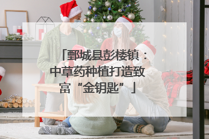 鄄城县彭楼镇：中草药种植打造致富“金钥匙”