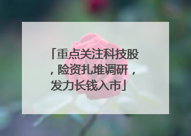 重点关注科技股，险资扎堆调研，发力长钱入市
