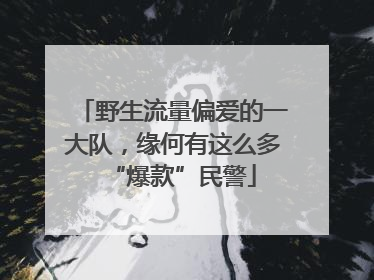 野生流量偏爱的一大队，缘何有这么多“爆款”民警