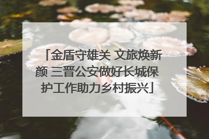 金盾守雄关 文旅焕新颜 三晋公安做好长城保护工作助力乡村振兴