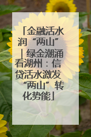 金融活水润“两山”｜绿金潮涌看湖州：信贷活水激发“两山”转化势能