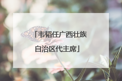 韦韬任广西壮族自治区代主席