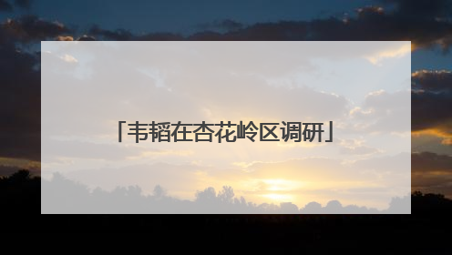韦韬在杏花岭区调研