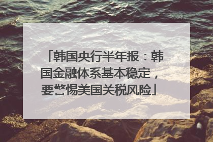 韩国央行半年报：韩国金融体系基本稳定，要警惕美国关税风险