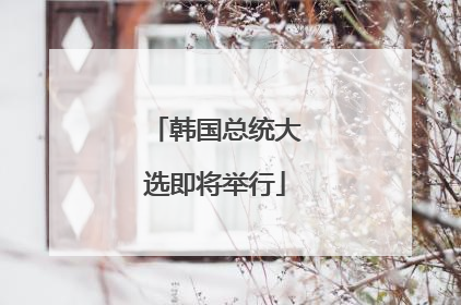 韩国总统大选即将举行