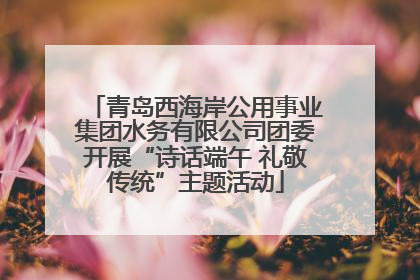 青岛西海岸公用事业集团水务有限公司团委开展“诗话端午 礼敬传统”主题活动