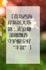 青岛西海岸新区大场镇：麦浪翻滚穗飘香 守护粮安好“丰景”