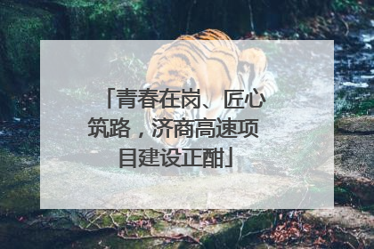 青春在岗、匠心筑路，济商高速项目建设正酣