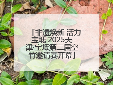 非遗焕新 活力宝坻 2025天津·宝坻第二届空竹邀请赛开幕