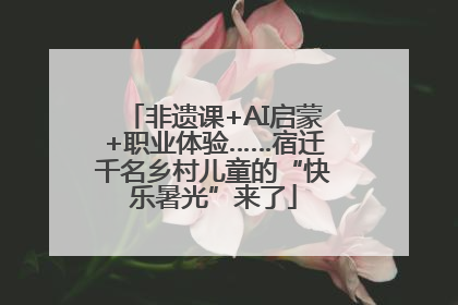 非遗课+AI启蒙+职业体验……宿迁千名乡村儿童的“快乐暑光”来了