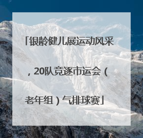 银龄健儿展运动风采，20队竞逐市运会（老年组）气排球赛