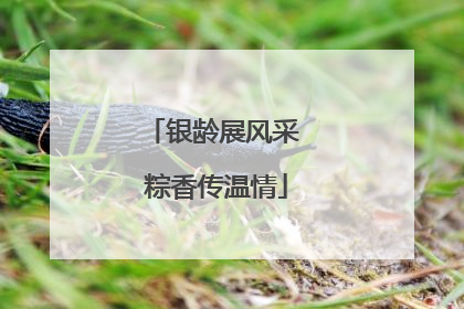 银龄展风采 粽香传温情