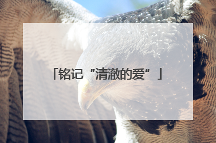 铭记“清澈的爱”