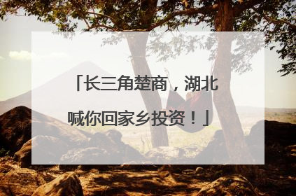 长三角楚商，湖北喊你回家乡投资！