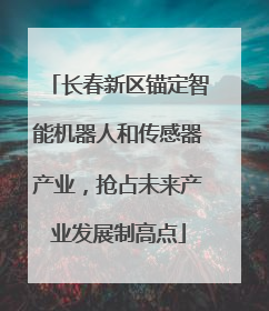 长春新区锚定智能机器人和传感器产业，抢占未来产业发展制高点
