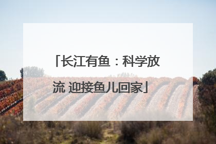 长江有鱼：科学放流 迎接鱼儿回家
