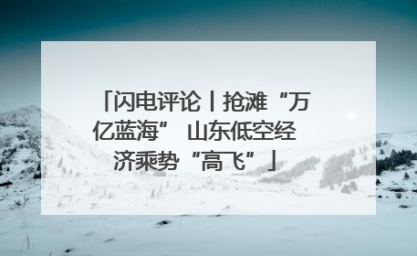 闪电评论丨抢滩“万亿蓝海” 山东低空经济乘势“高飞”