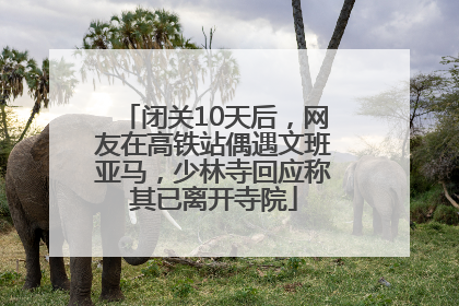 闭关10天后，网友在高铁站偶遇文班亚马，少林寺回应称其已离开寺院