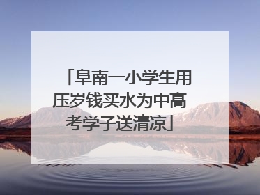 阜南一小学生用压岁钱买水为中高考学子送清凉