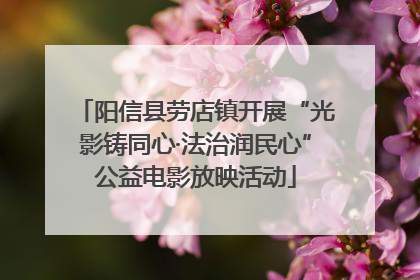 阳信县劳店镇开展“光影铸同心·法治润民心”公益电影放映活动