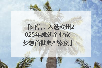阳信：入选滨州2025年成就企业家梦想首批典型案例