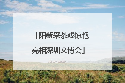 阳新采茶戏惊艳亮相深圳文博会