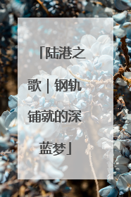 陆港之歌｜钢轨铺就的深蓝梦