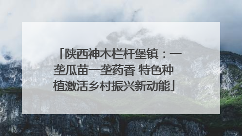 陕西神木栏杆堡镇：一垄瓜苗一垄药香 特色种植激活乡村振兴新动能