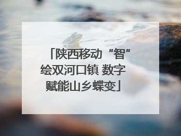 陕西移动“智”绘双河口镇 数字赋能山乡蝶变