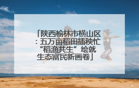 陕西榆林市横山区：五万亩稻田插秧忙 “稻渔共生”绘就生态富民新画卷