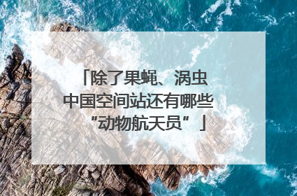 除了果蝇、涡虫 中国空间站还有哪些“动物航天员”