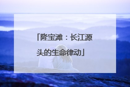 隆宝滩：长江源头的生命律动