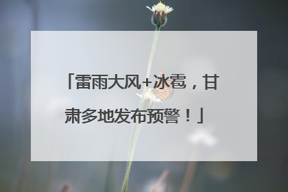 雷雨大风+冰雹，甘肃多地发布预警！