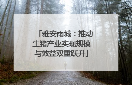 雅安雨城：推动生猪产业实现规模与效益双重跃升