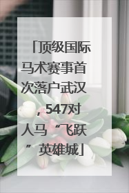顶级国际马术赛事首次落户武汉，547对人马“飞跃”英雄城