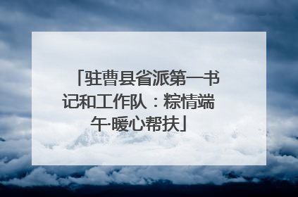 驻曹县省派第一书记和工作队：粽情端午·暖心帮扶