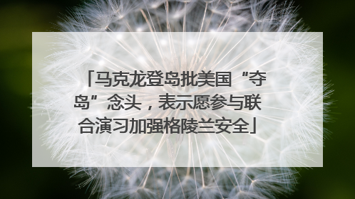 马克龙登岛批美国“夺岛”念头，表示愿参与联合演习加强格陵兰安全