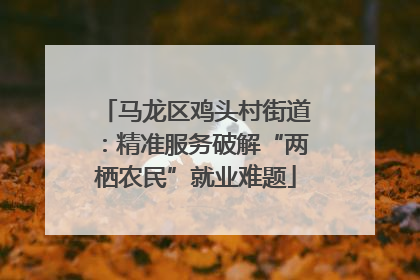 马龙区鸡头村街道：精准服务破解“两栖农民”就业难题
