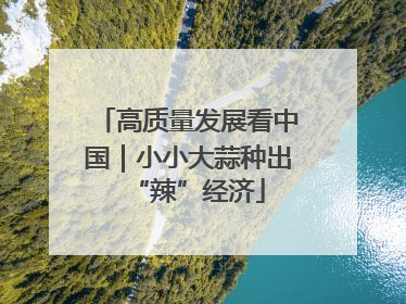 高质量发展看中国｜小小大蒜种出“辣”经济