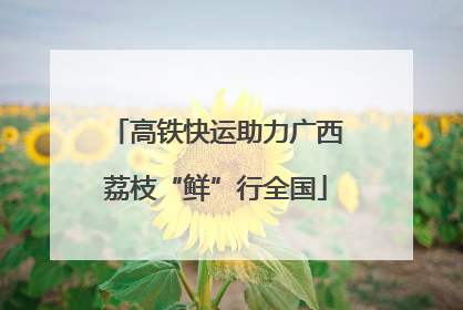 高铁快运助力广西荔枝“鲜”行全国