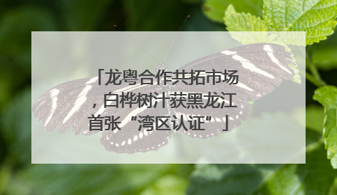 龙粤合作共拓市场，白桦树汁获黑龙江首张“湾区认证”