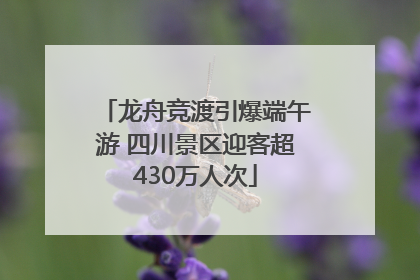 龙舟竞渡引爆端午游 四川景区迎客超430万人次