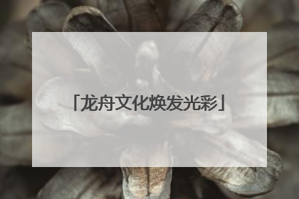 龙舟文化焕发光彩
