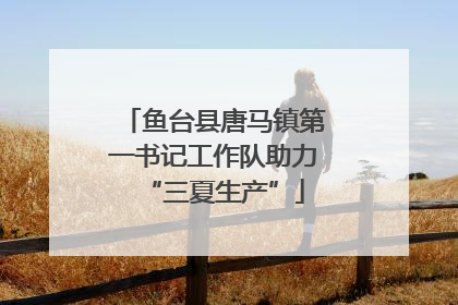 鱼台县唐马镇第一书记工作队助力“三夏生产”